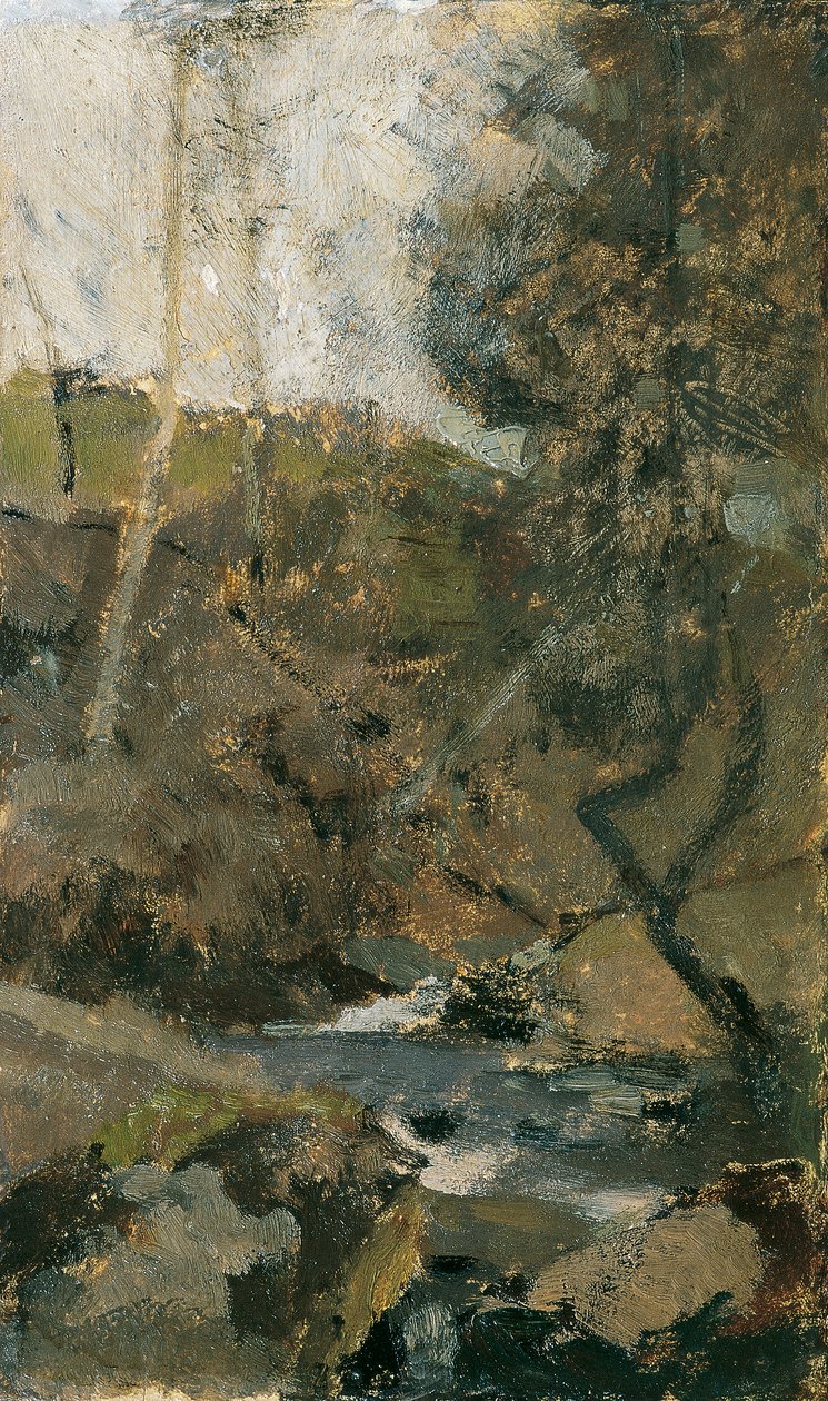 Ruscello nella Foresta Viennese da Emil Jakob Schindler