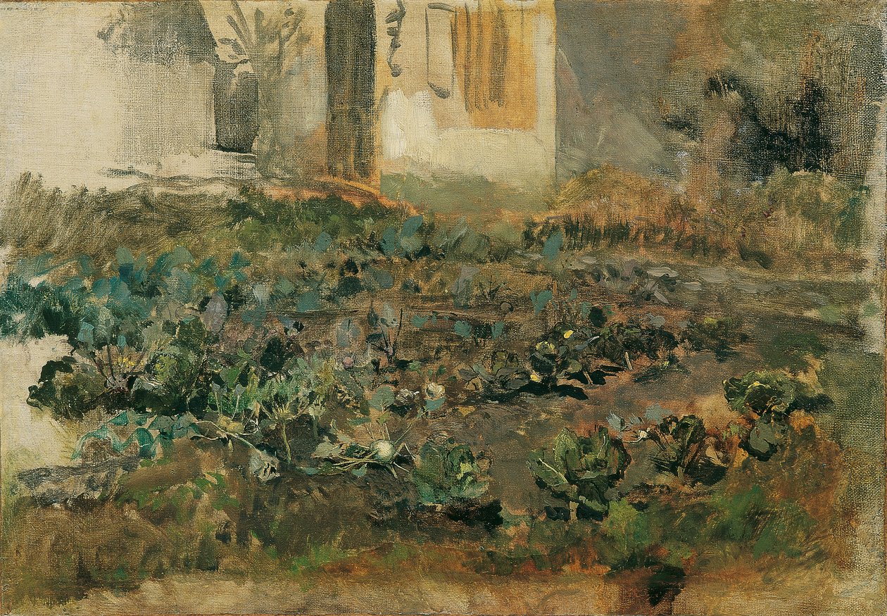Campo di rape da Emil Jakob Schindler
