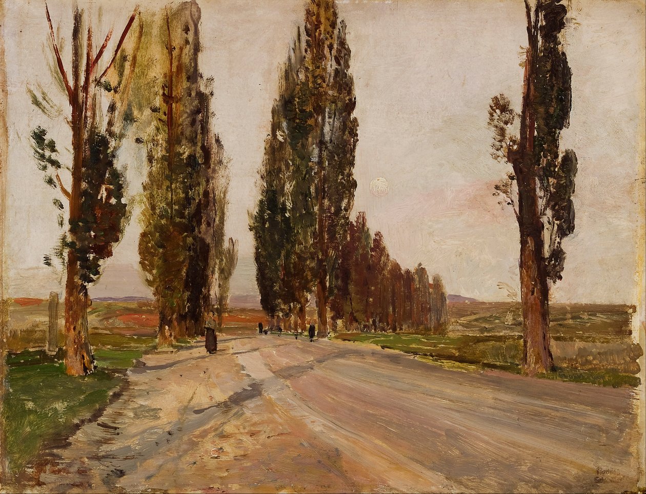 Viale dei Pioppi vicino a Plankenberg da Emil Jakob Schindler