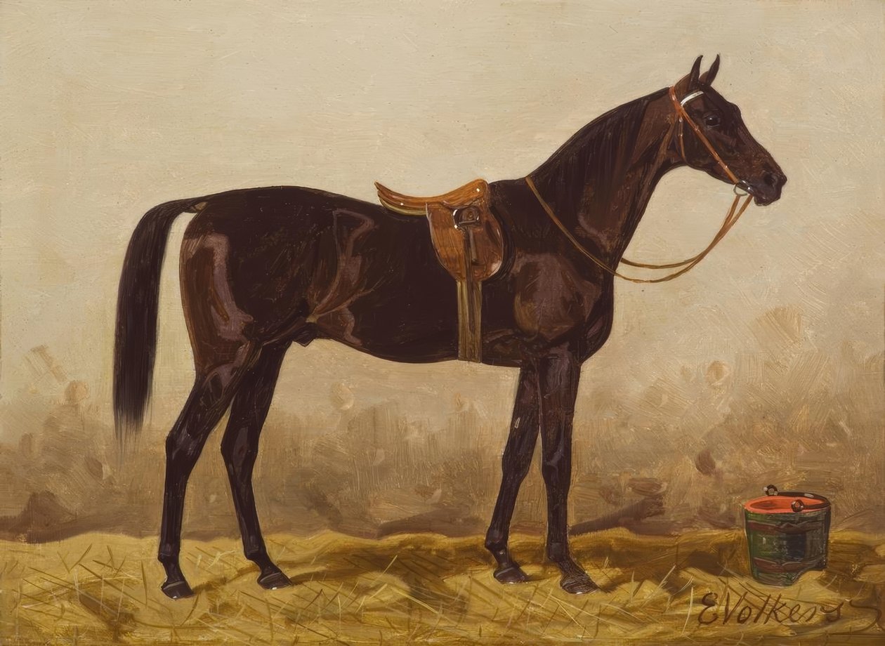 Cavallo nero sellato da Emil Volkers
