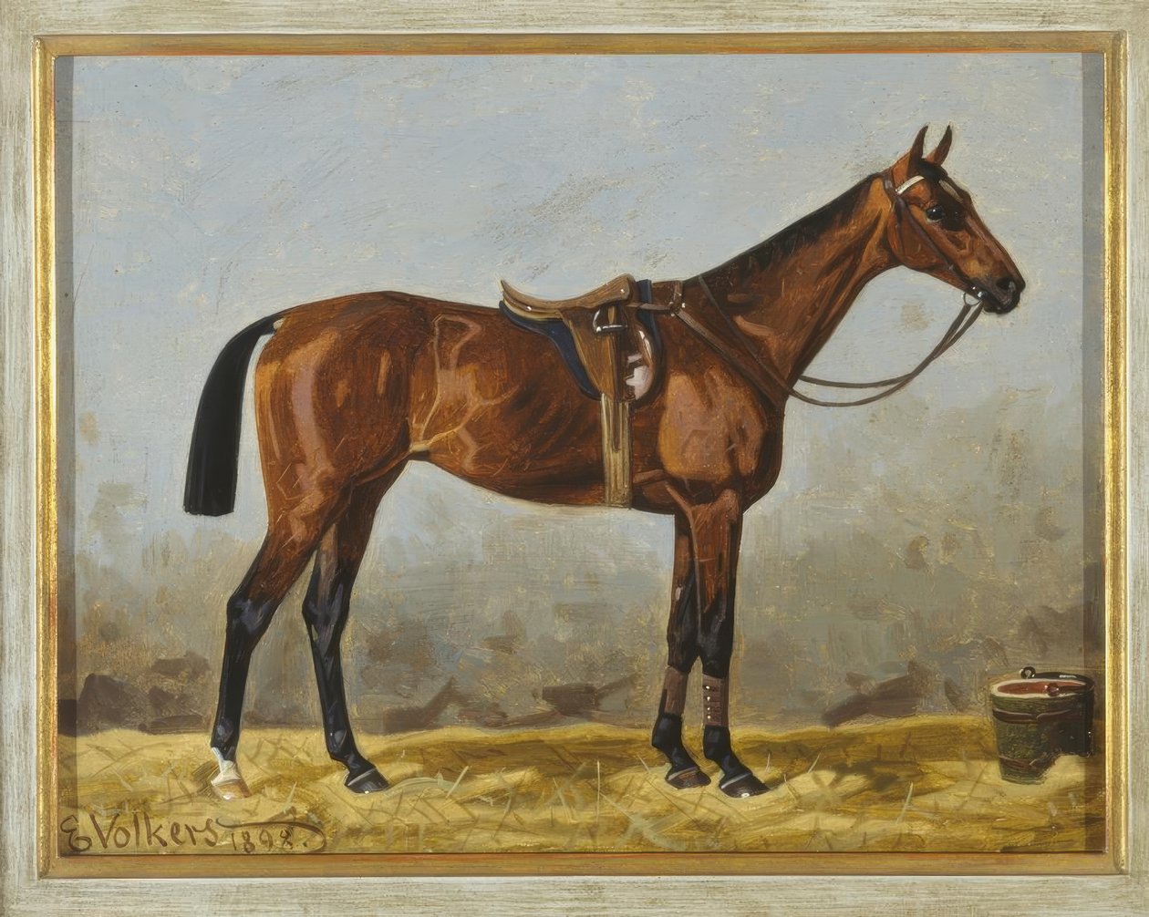 Cavallo sellato da Emil Volkers