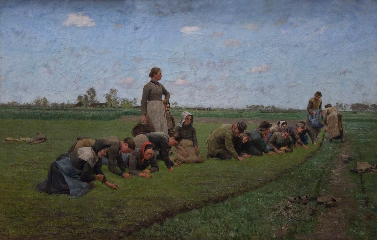 Raccolta del lino nelle Fiandre da Emile Claus