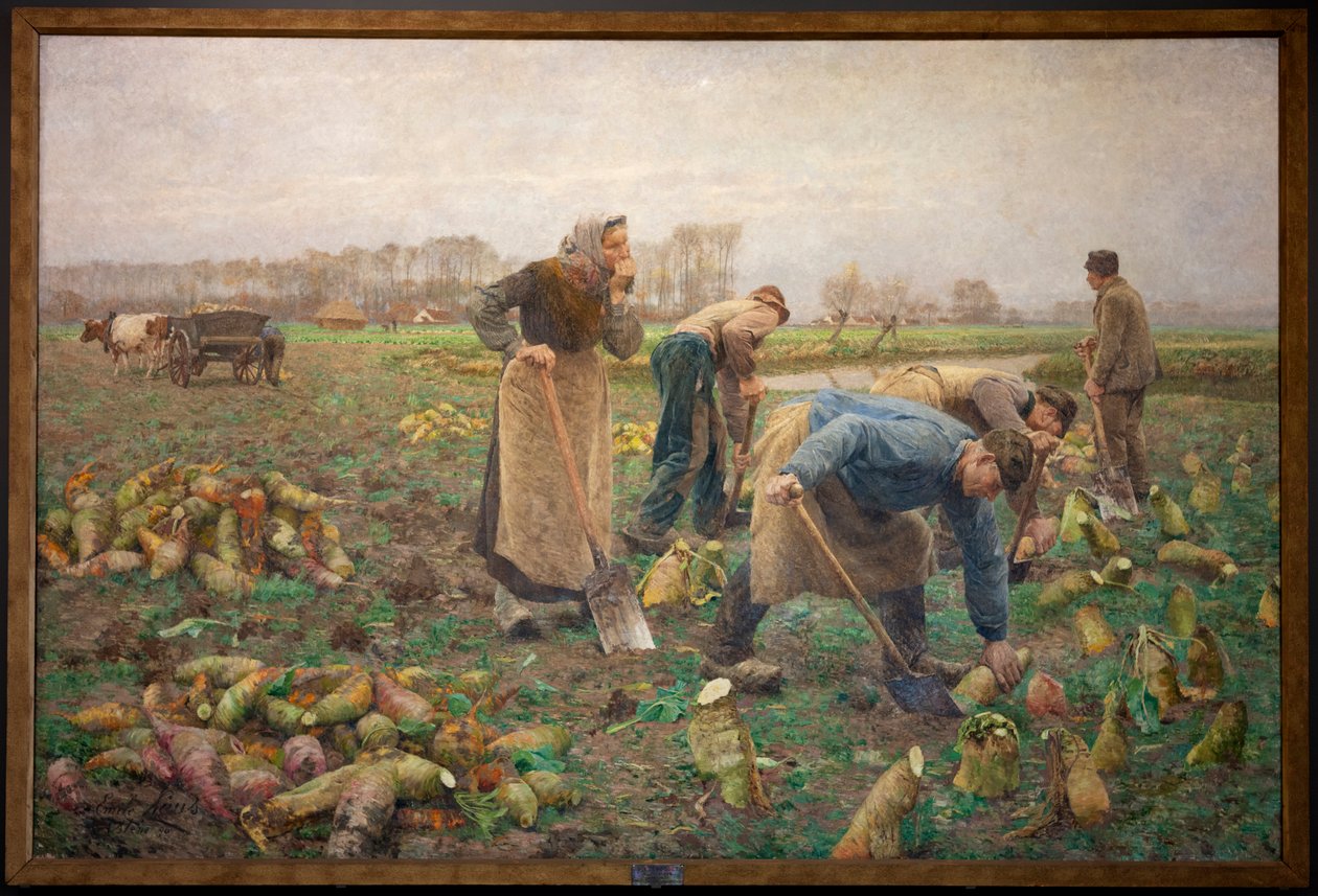 Raccolta di barbabietole da Emile Claus