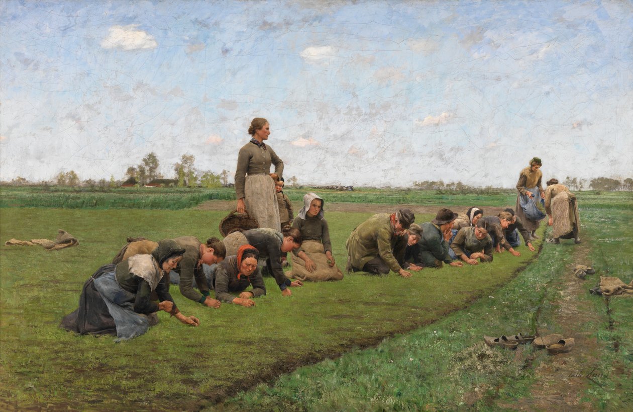 Estirpazione del lino nelle Fiandre da Emile Claus
