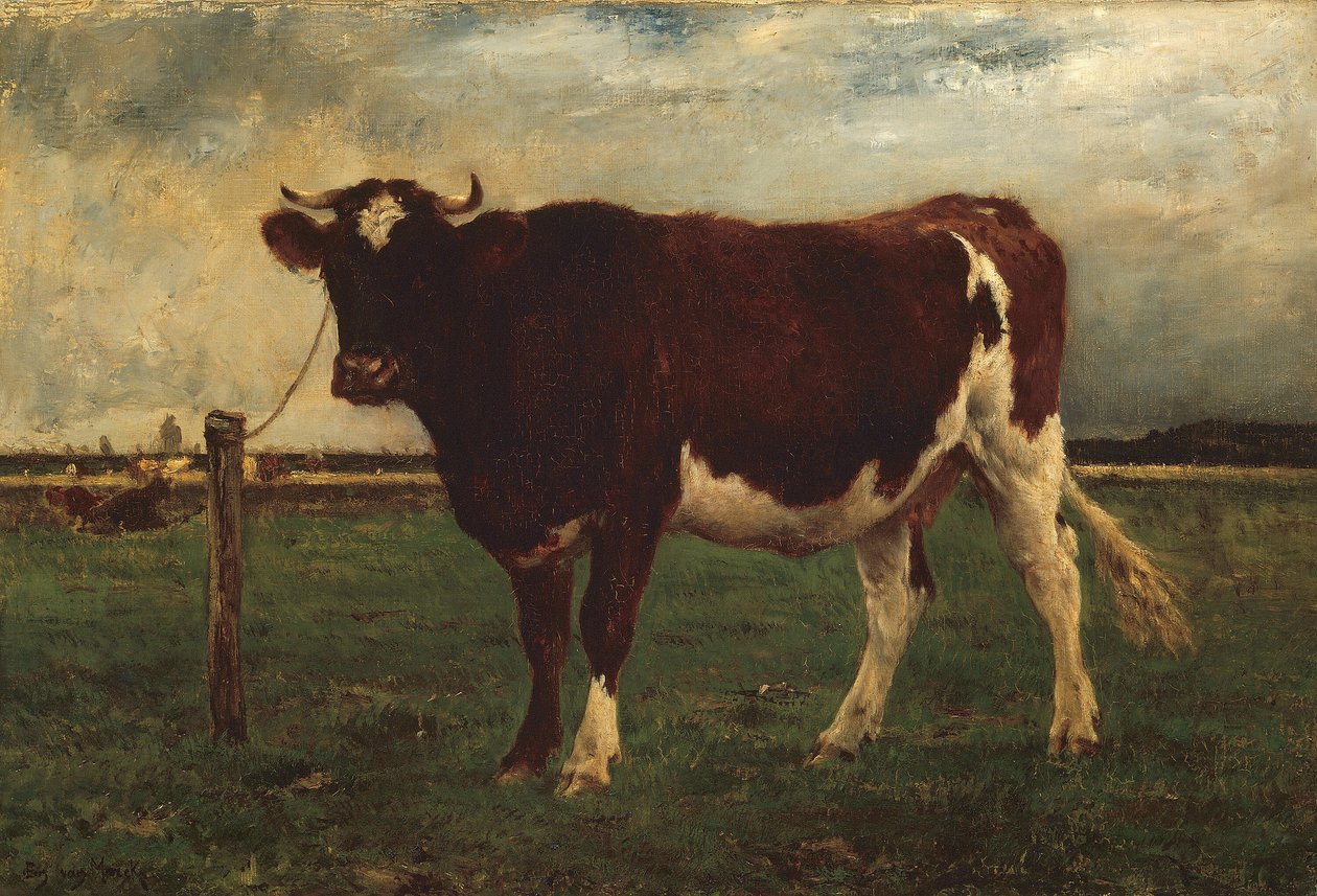 Studio di una mucca da Emile van Marcke de Lummen