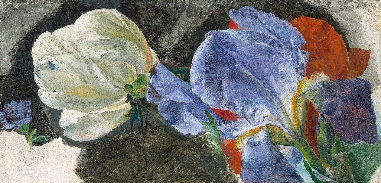 Studio di fiori da Emily Stannard
