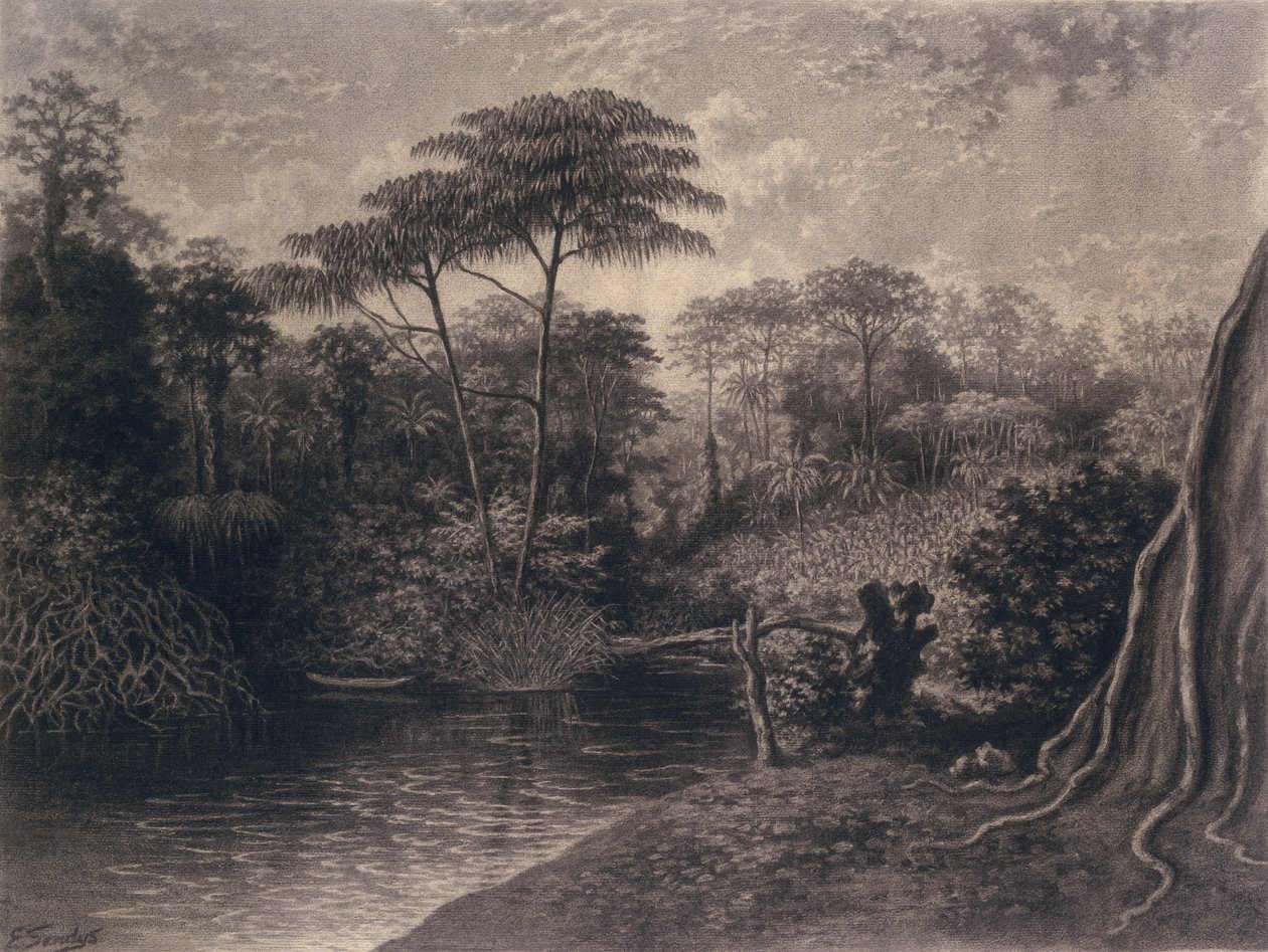 Veduta del fiume Camerun, Baia di Ambes, Africa, 1877 da Emma Sandys
