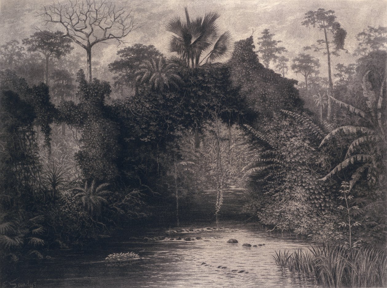 Veduta del Golfo di Biafra, Africa Occidentale, 1877 da Emma Sandys