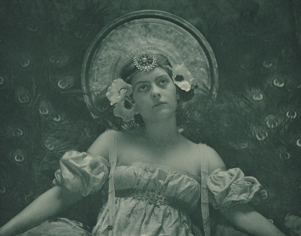 La cicala da Emma Justine Farnsworth