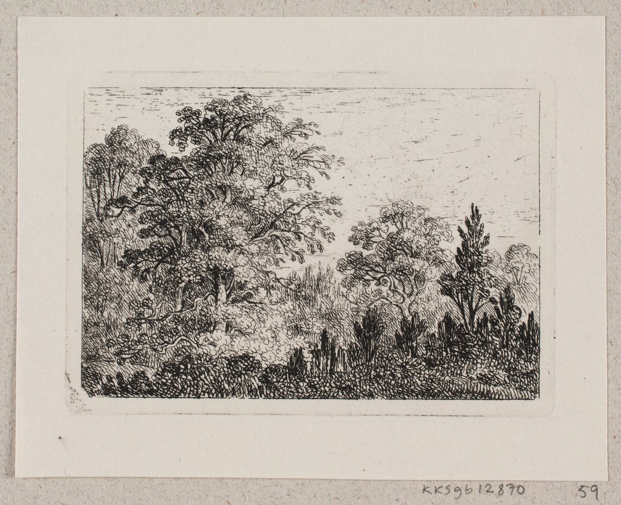 Paesaggio boschivo da Emma Meyer