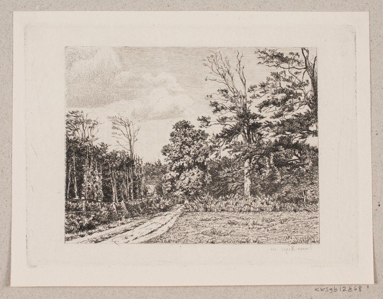 Paesaggio boschivo da Emma Meyer