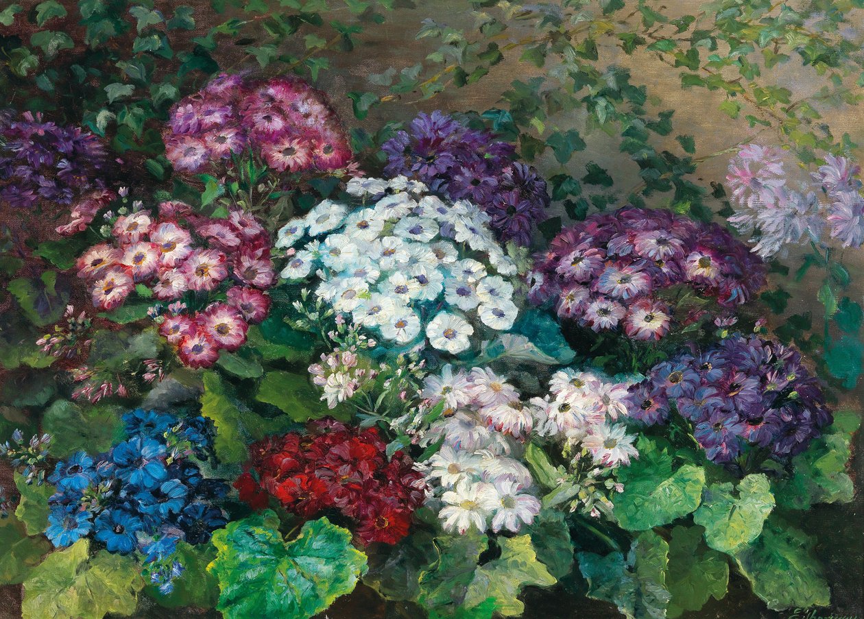 Fiori estivi da Emmy Thornam