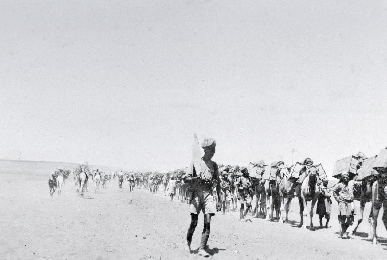 Un treno di rifornimento di cammelli in Mesopotamia durante la Prima Guerra Mondiale, da un album compilato dal tenente Kindom da English Photographer