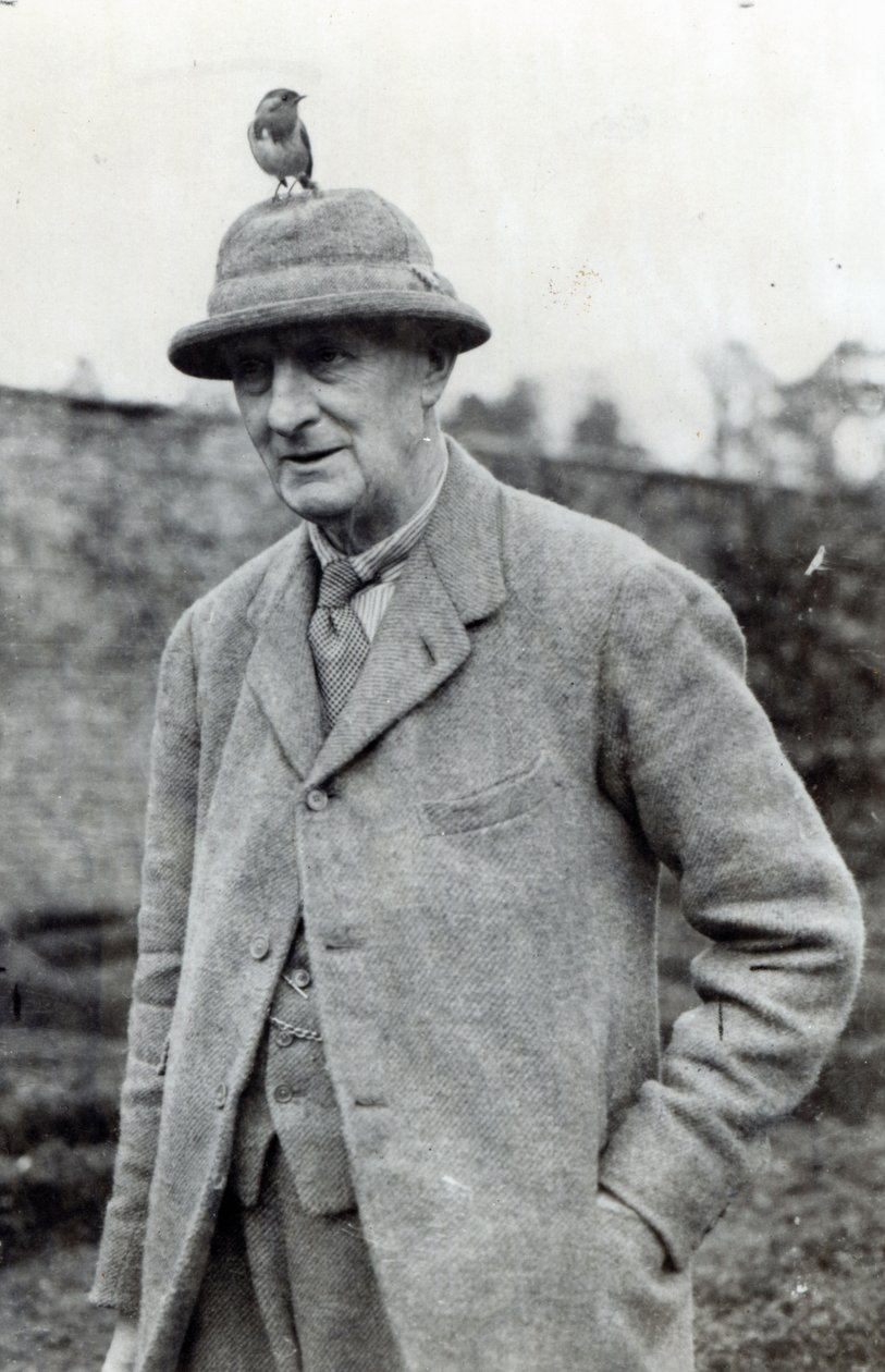 Edward Grey, 1° visconte Grey di Fallodon da English Photographer