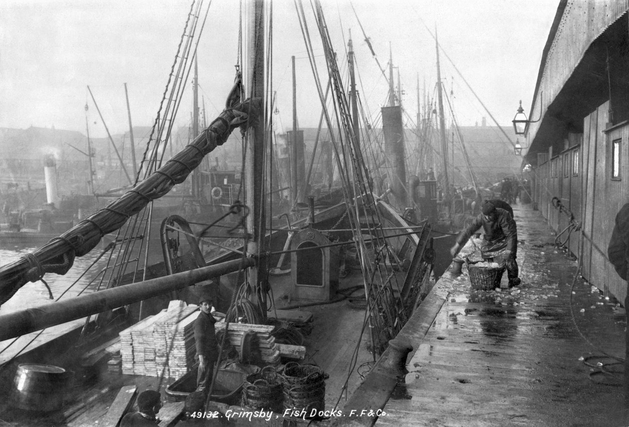 Darsene del pesce, Grimsby, inizio XX secolo da English Photographer