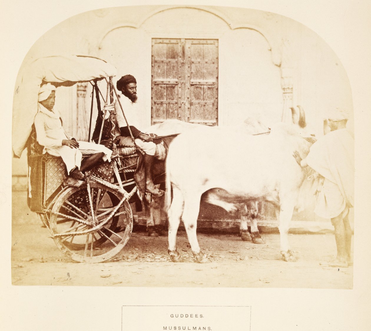 Guddees, Mussulmani, Rajpootana, da The People of India, di J. Forbes Watson, pubblicato 1868 (albumen print) da English Photographer