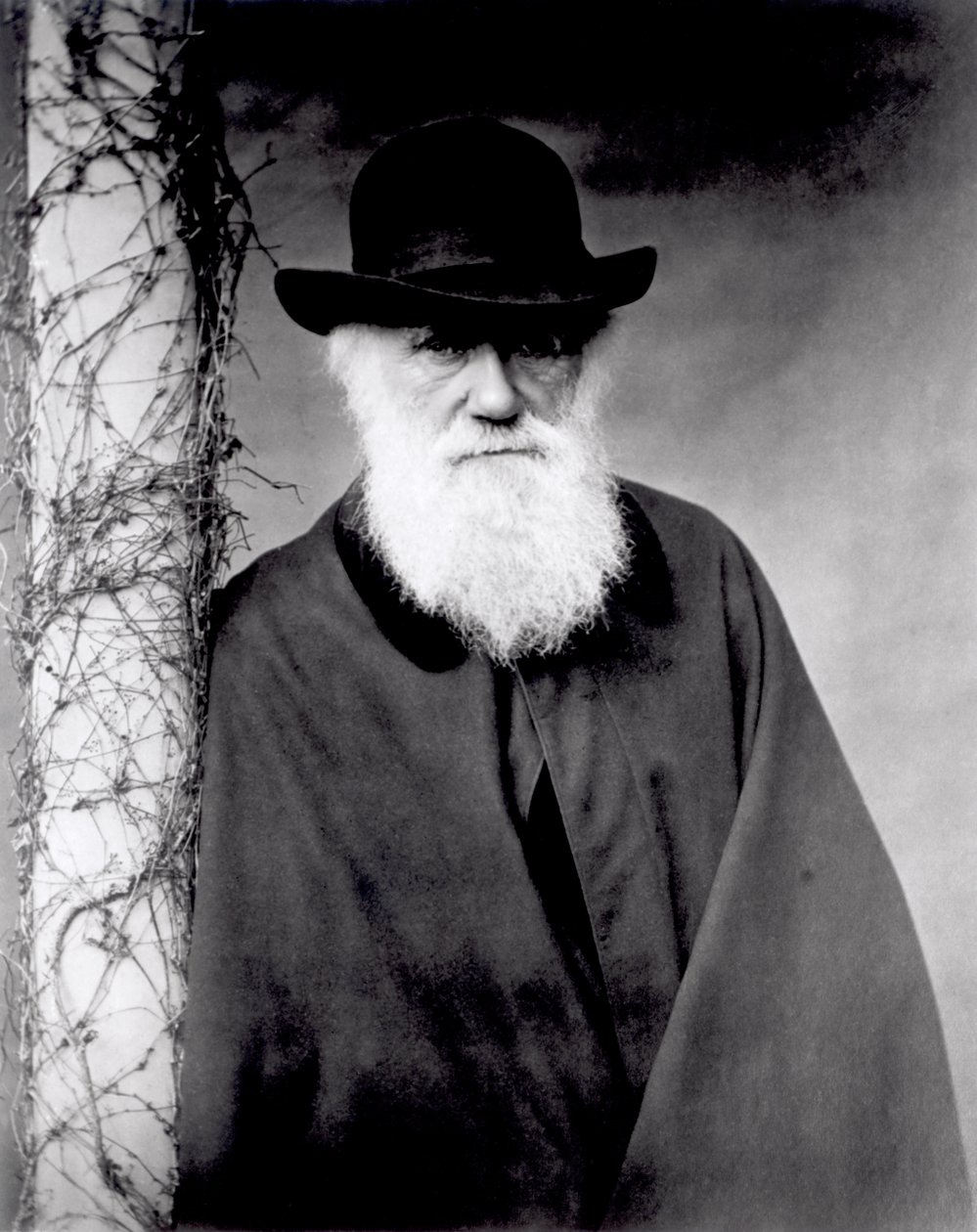 Ritratto di Charles Darwin, 1881 da English Photographer