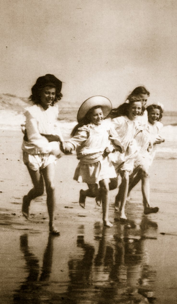 Ricci di mare da English Photographer