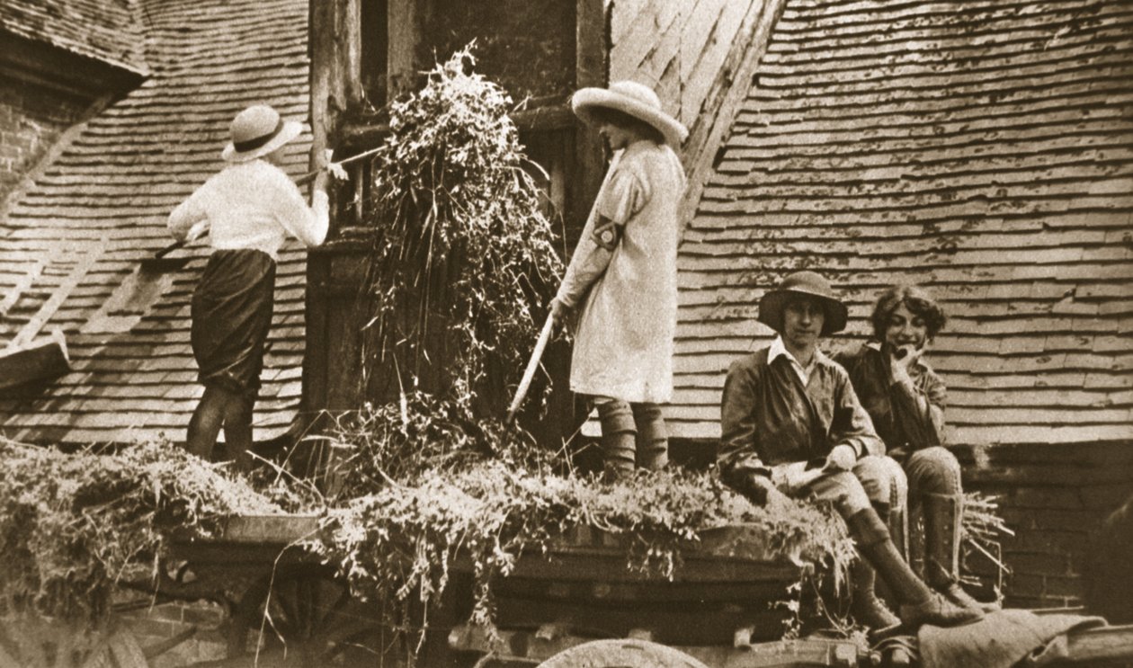 Donne sulla terra: alcune scene interessanti a Evesham, da The Illustrated War News, 21 giugno 1916 da English Photographer