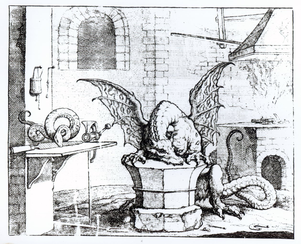 Un drago in un laboratorio da English School