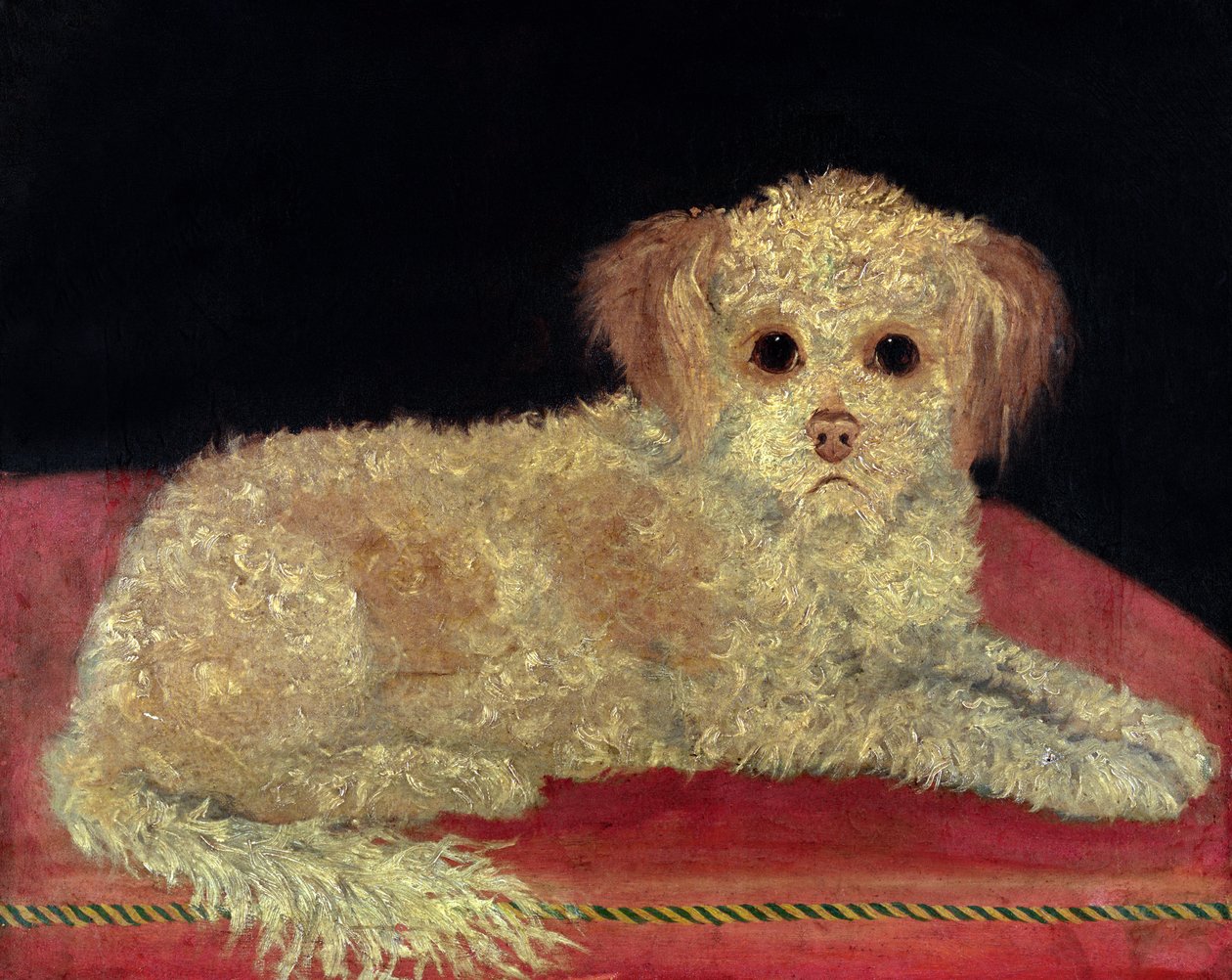 Un Terrier su un cuscino rosso, Scuola Provinciale da English School