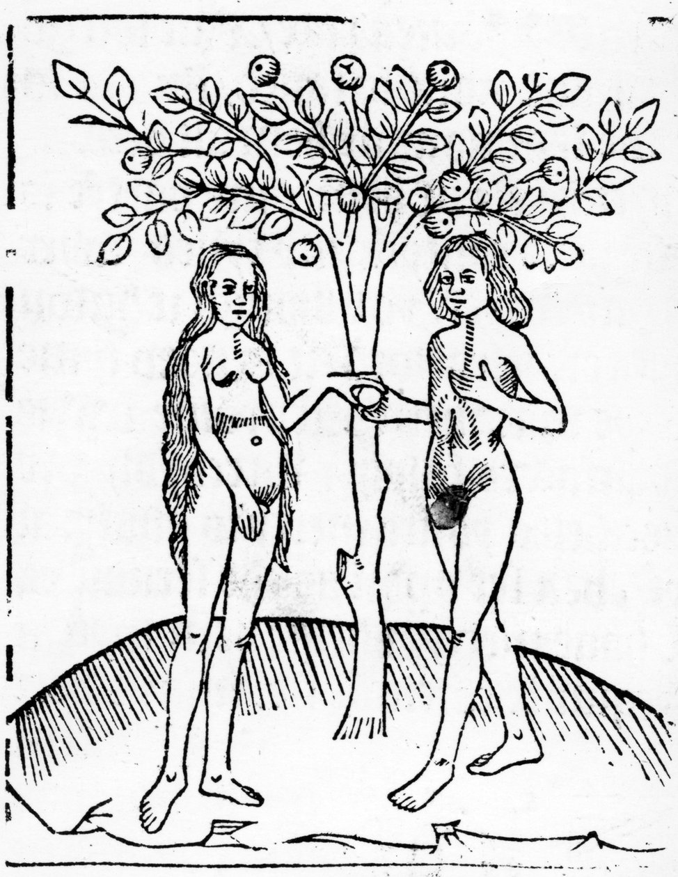 Adamo ed Eva, illustrazione dal 