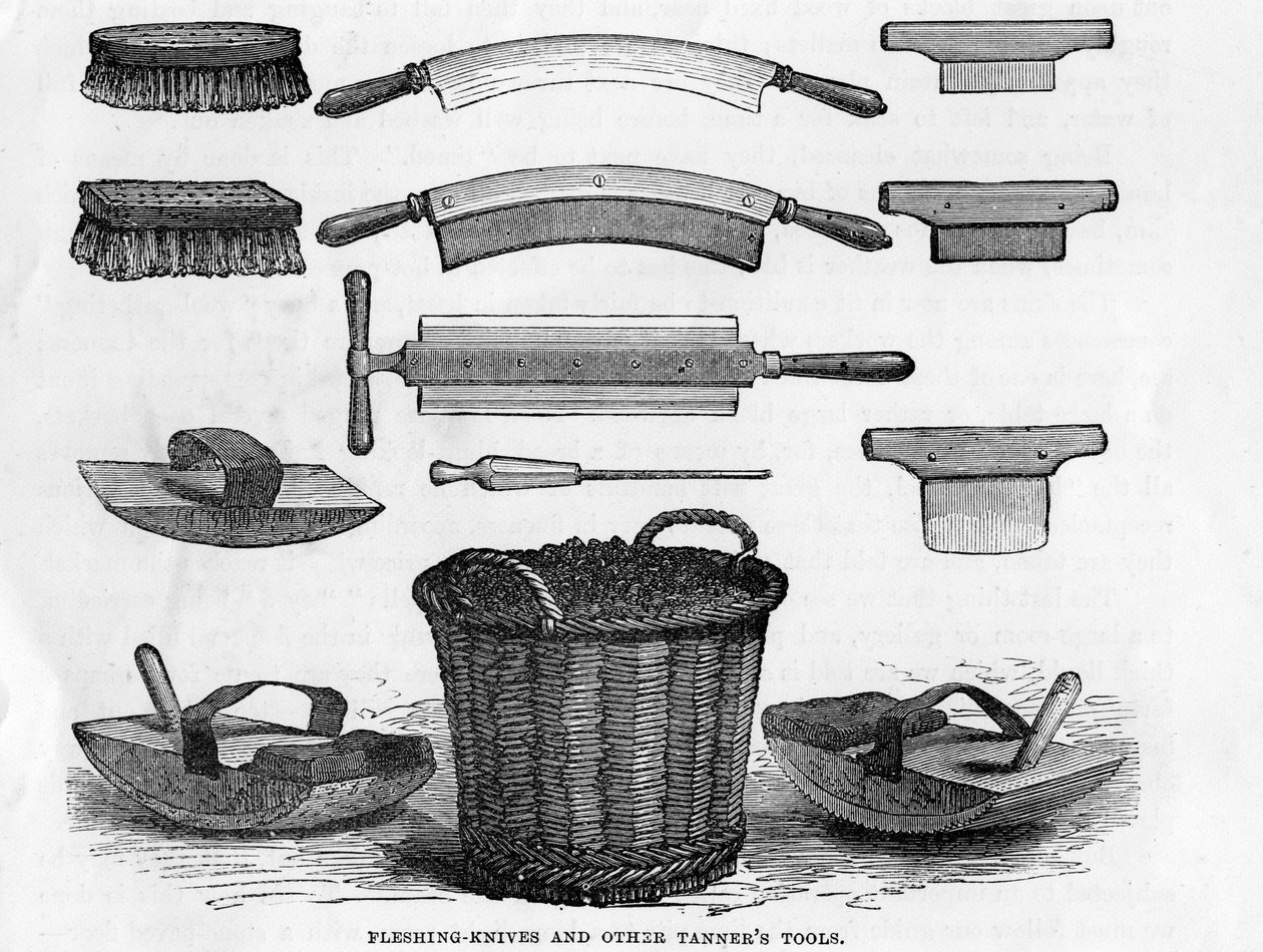 Coltelli da scarnitura e altri strumenti del conciatore da English School