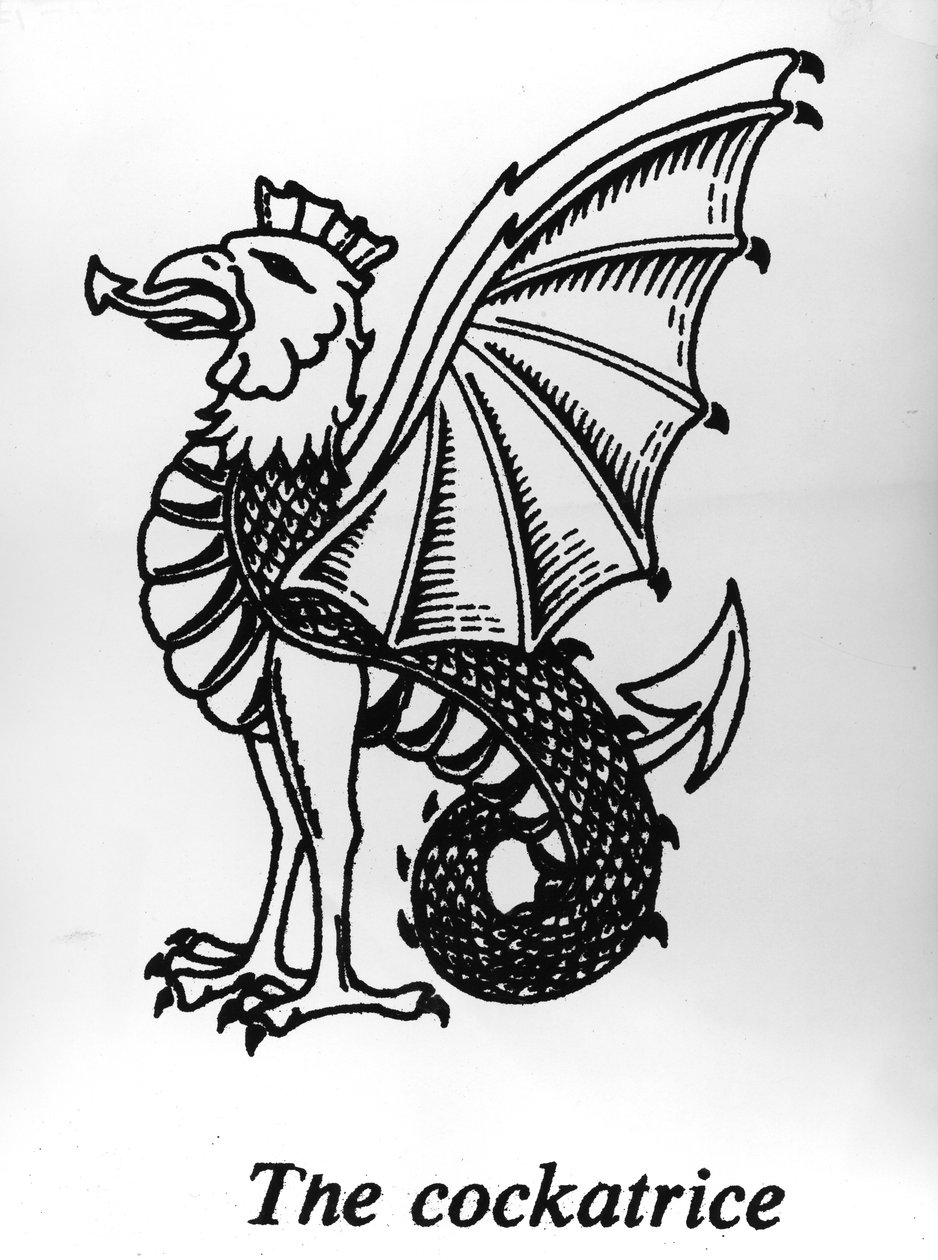 Il Basilisco da English School
