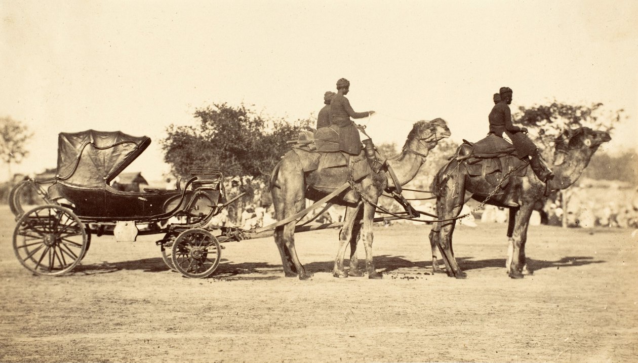 Carrozza a cammello, c.1860 da English Photographer