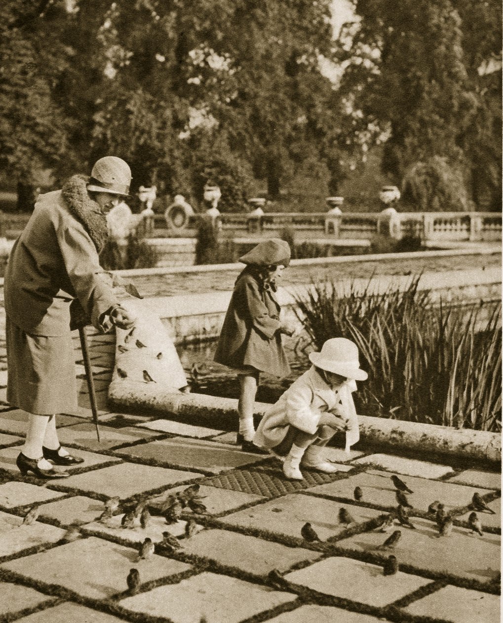 Nutrire i passeri a Hyde Park da English Photographer
