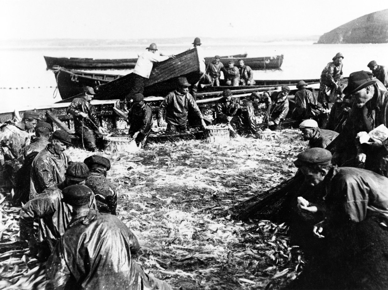 Pesca delle aringhe, c.1890 da English Photographer