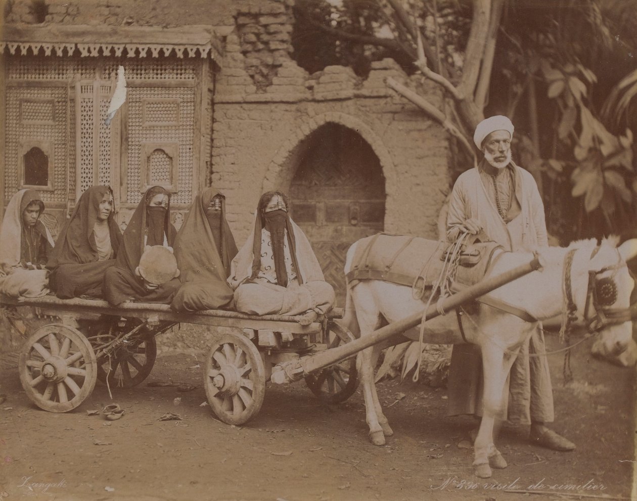 Carro trainato da cavalli, Il Cairo, 1893 da English Photographer