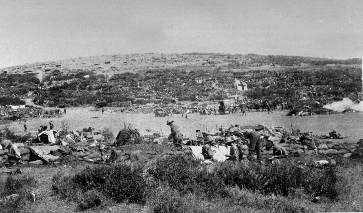 Baia di Suvla, Gallipoli a Chocolate Hill, c.1915 da English Photographer