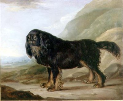 Un Cavalier King Charles Spaniel in un Paesaggio da English School
