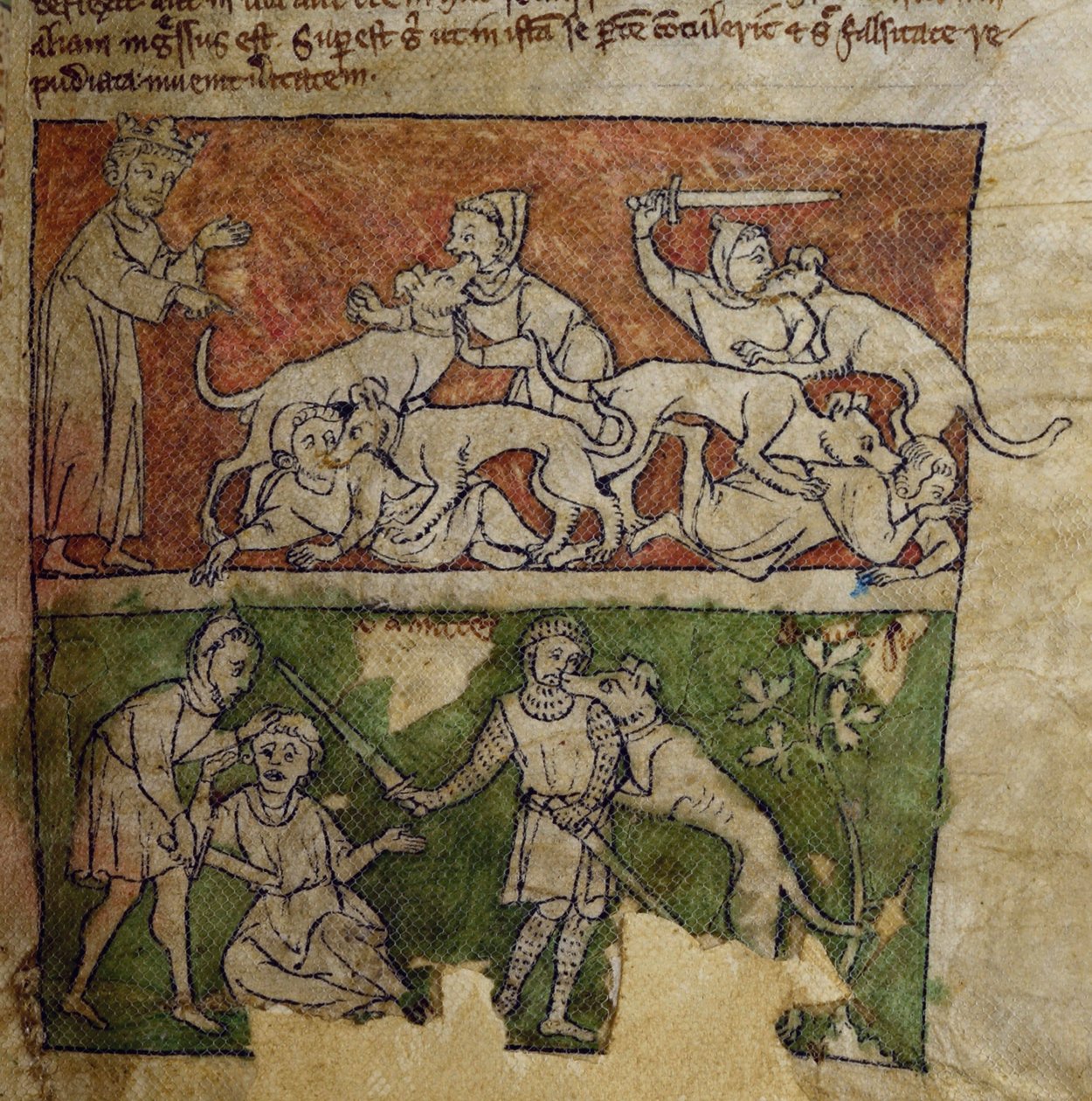 CCA-LitMs/D/10 fol. 6r Cane, dal Bestiario da English School