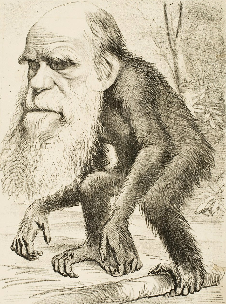 Caricatura di Charles Darwin da English School