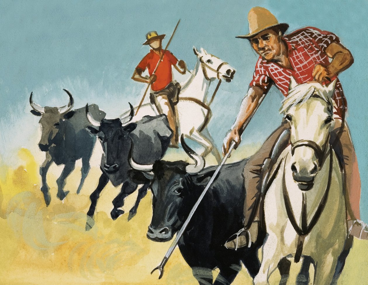 Gardiani della Camargue da English School