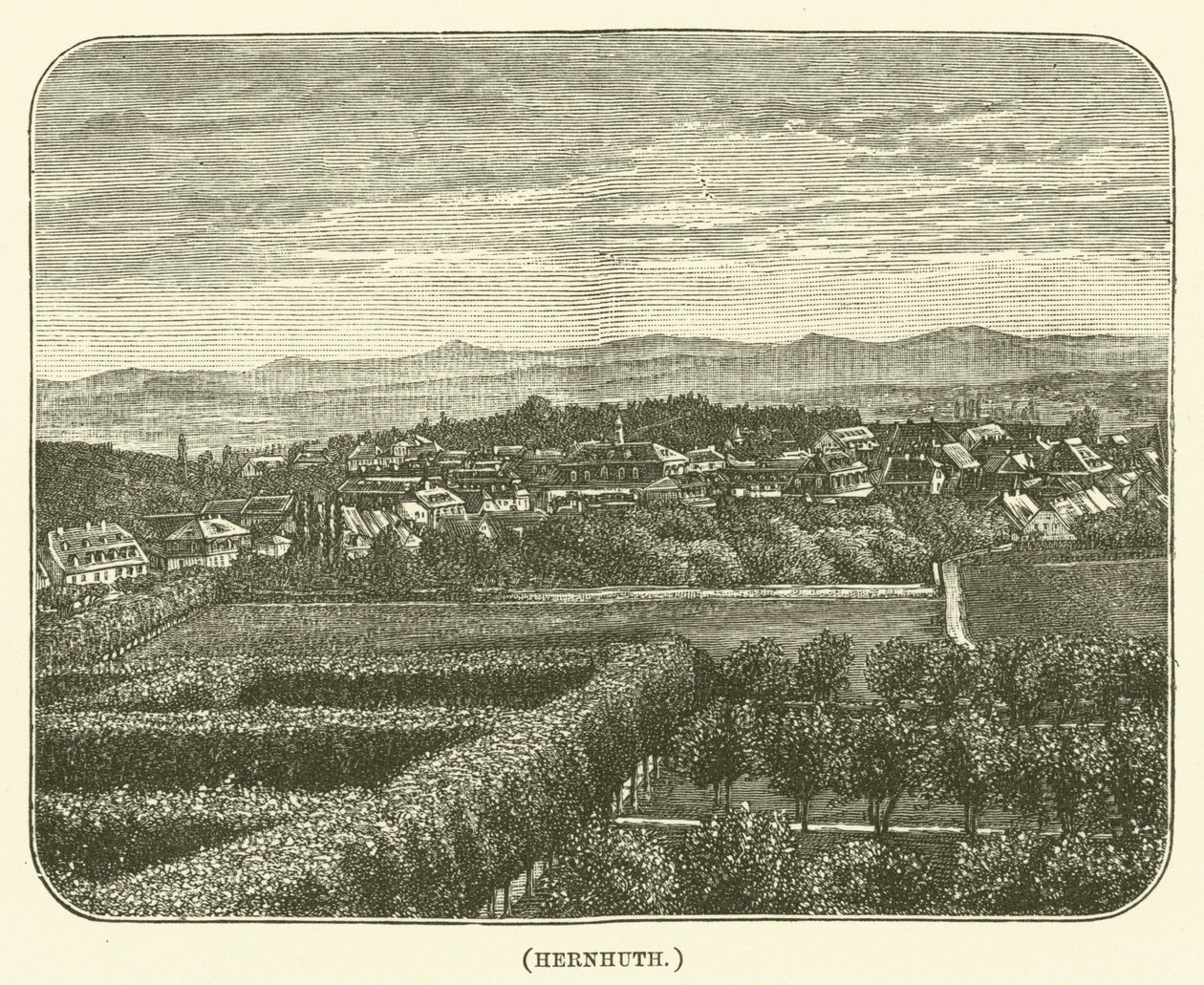 Hernhuth (incisione) da English School