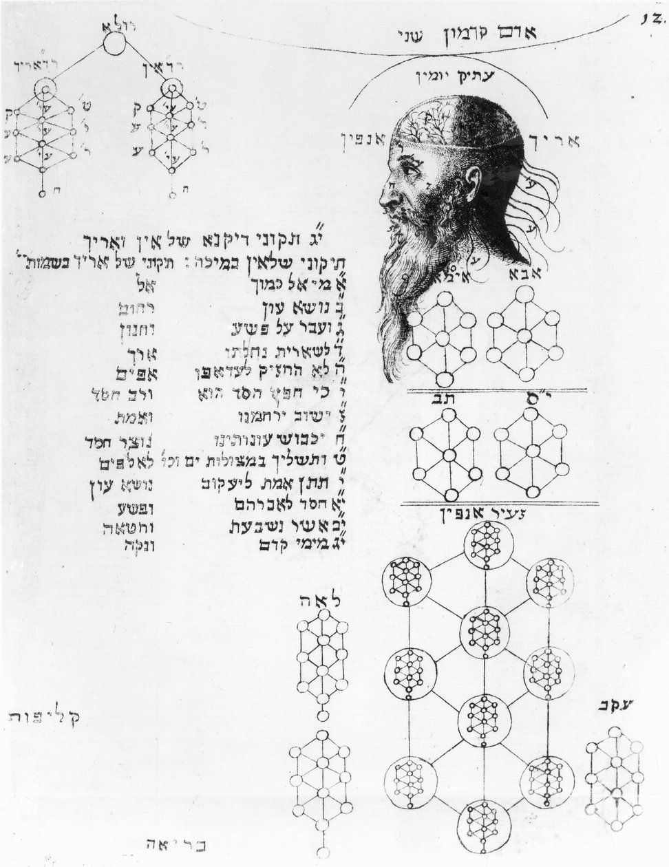 Manoscritto ebraico che illustra la frenologia da English School