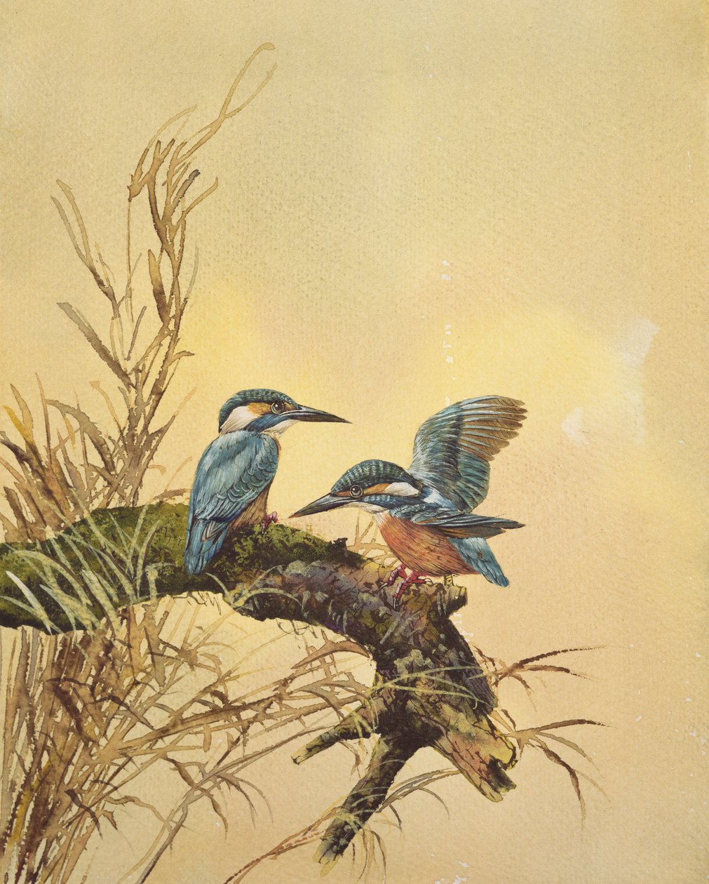 Martin Pescatori, c.1890 da English School