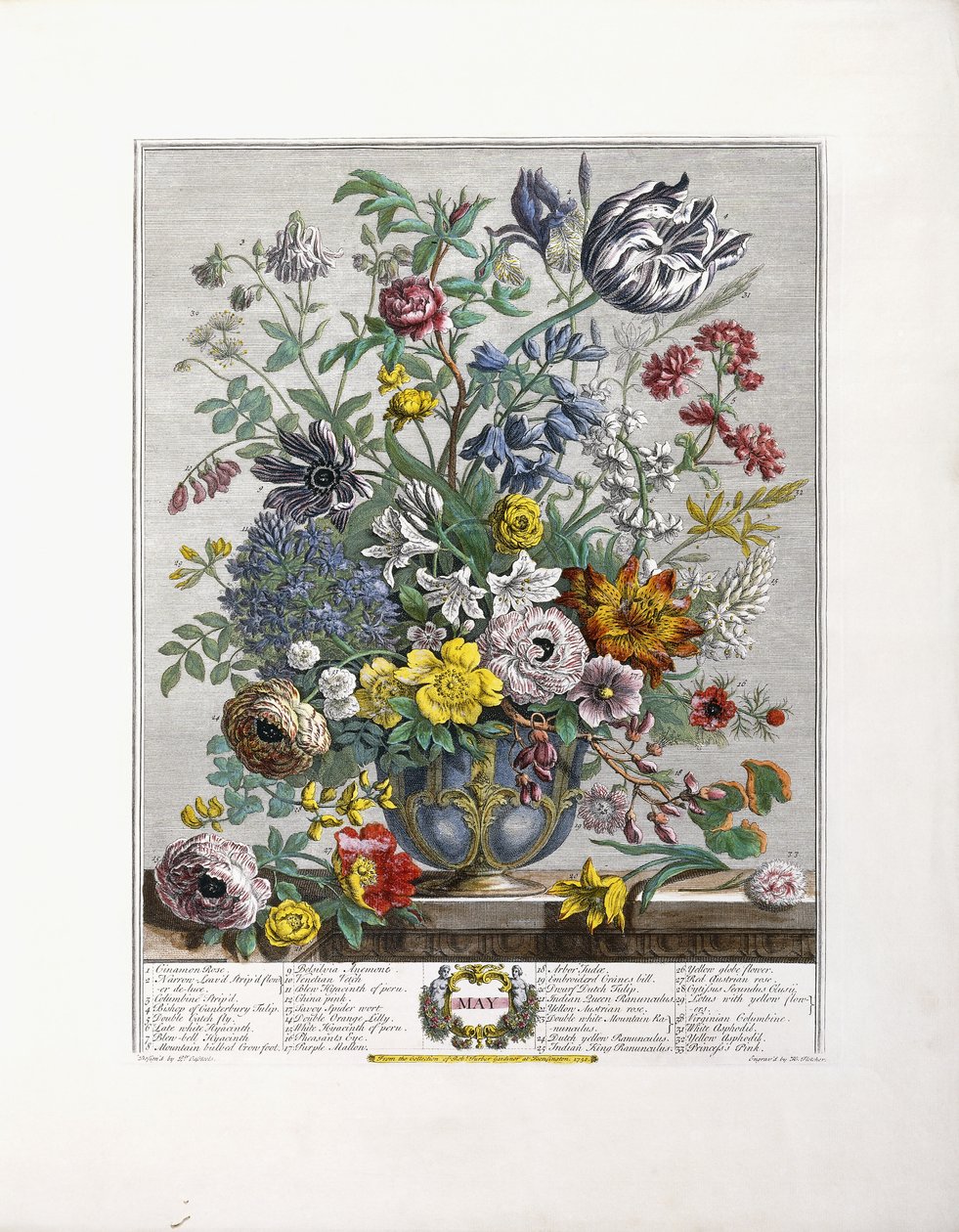 Maggio, 1730 da English School