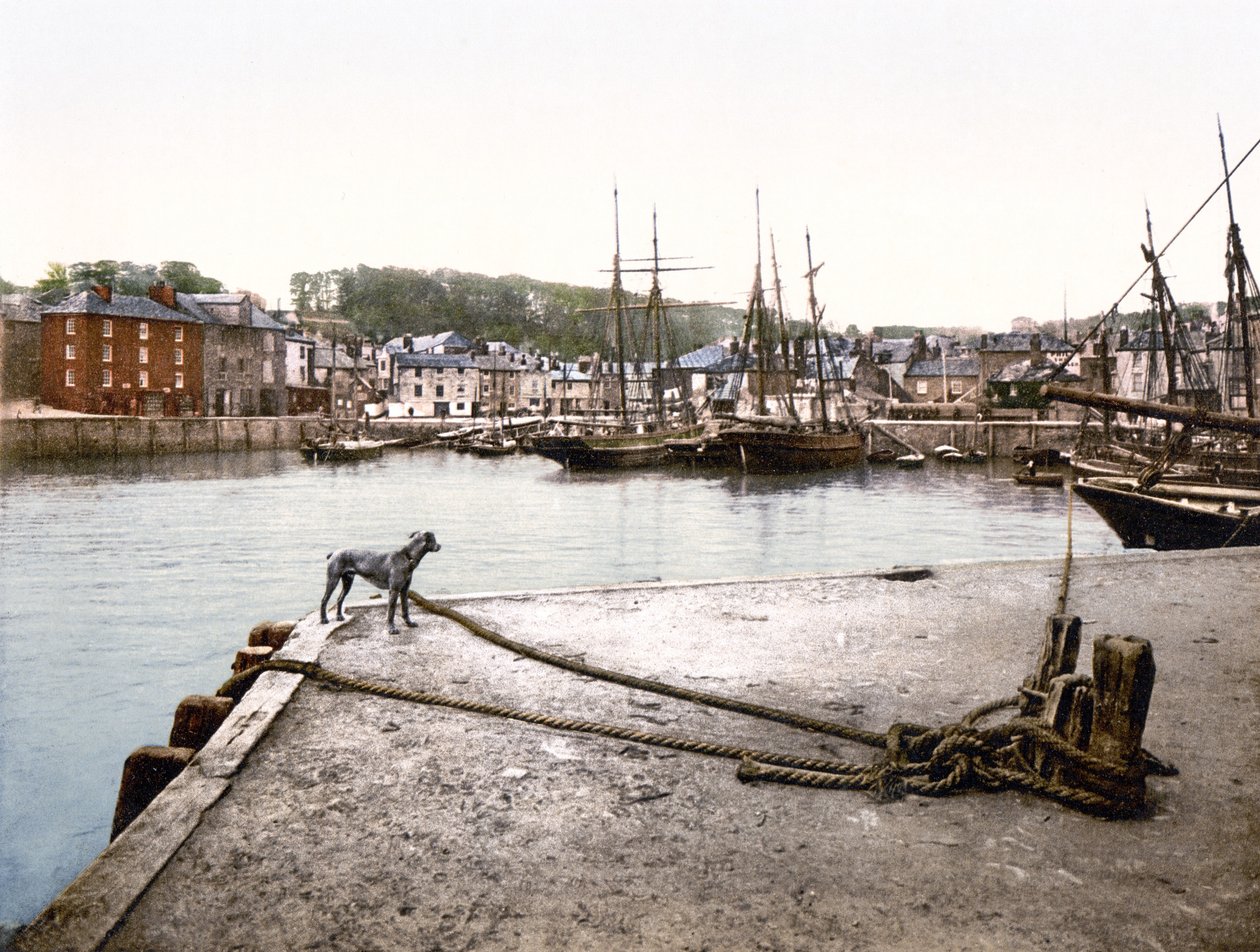 Molo di Padstow da English School