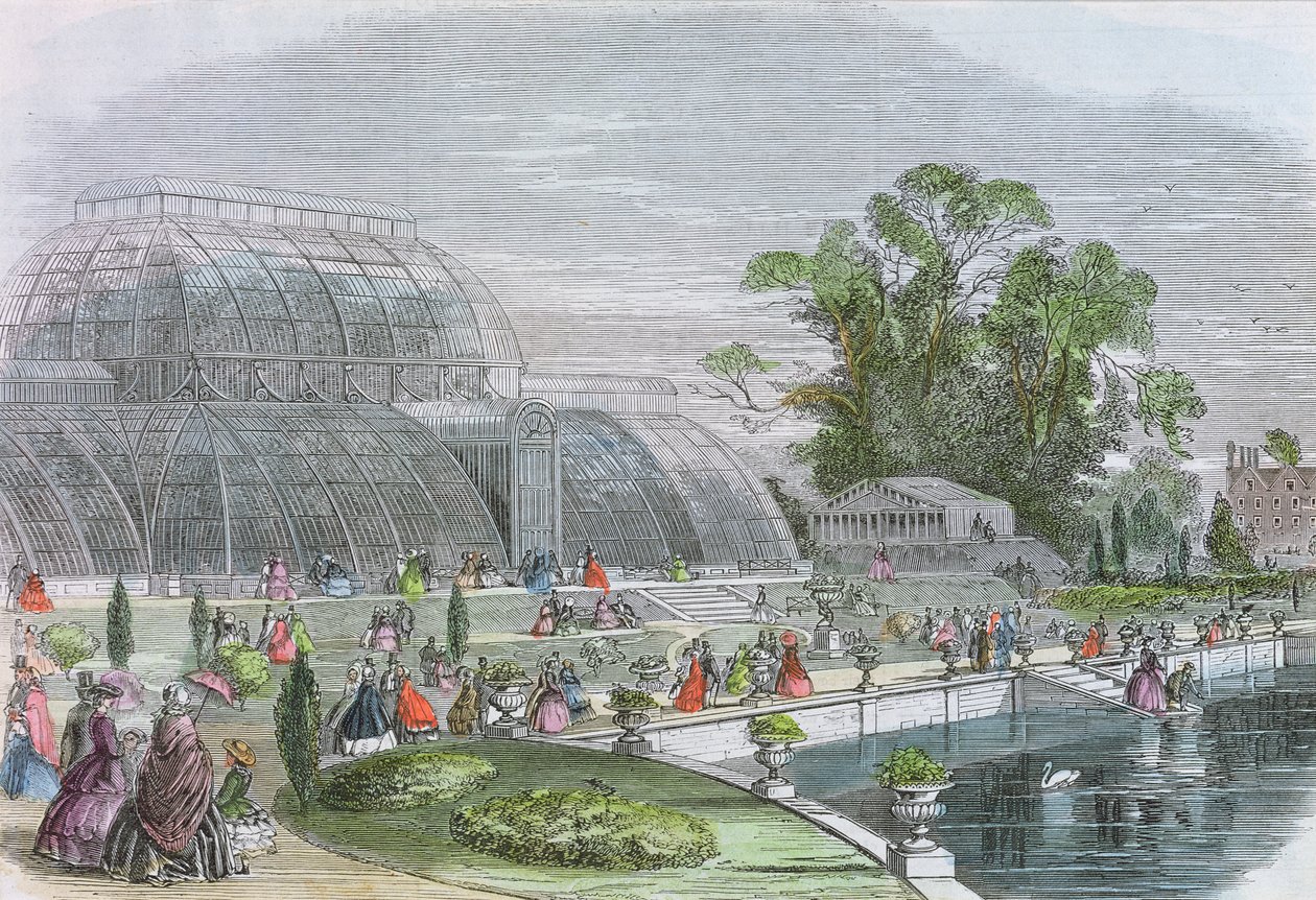 Palm House, Kew (incisione) da English School
