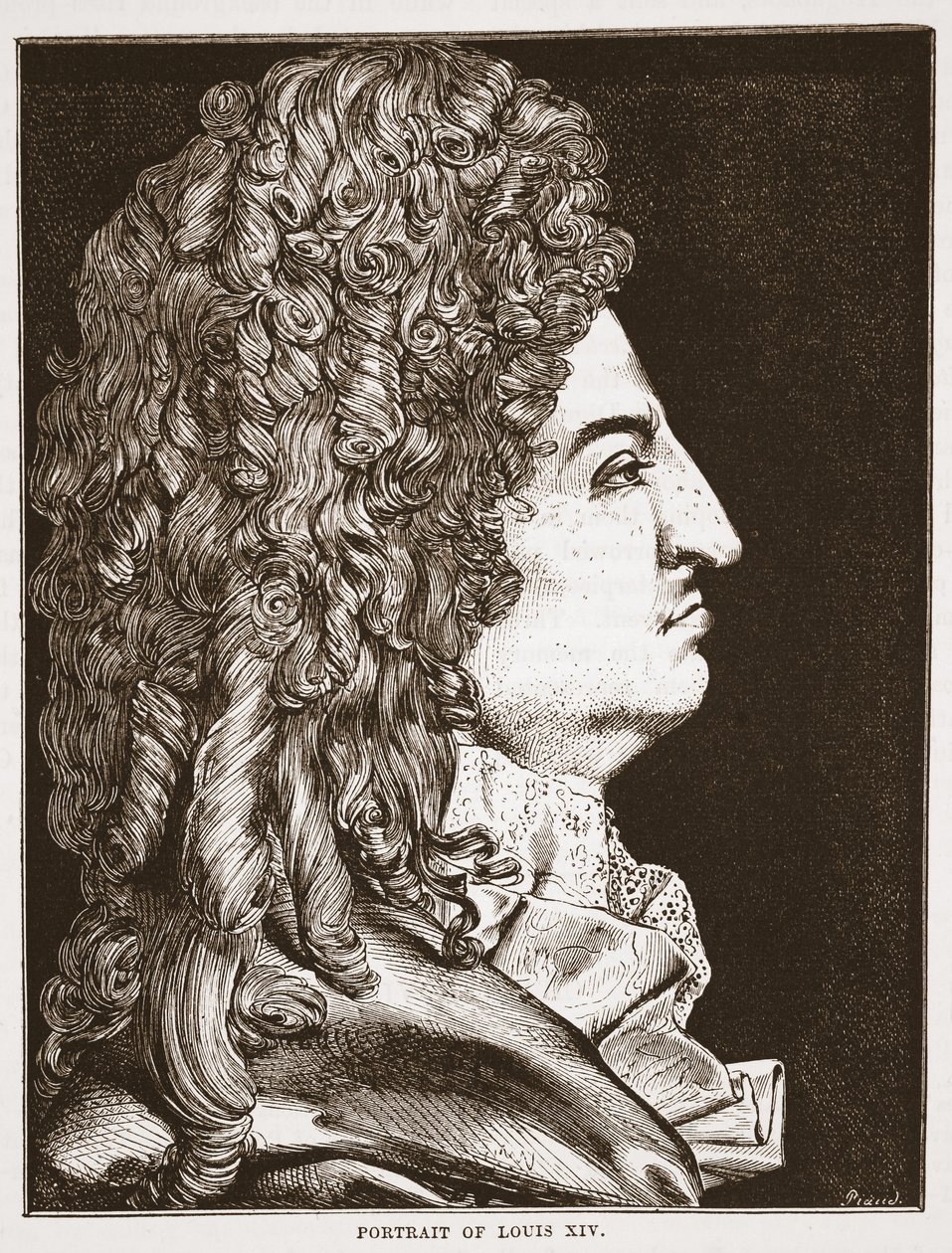 Ritratto di Luigi XIV da English School