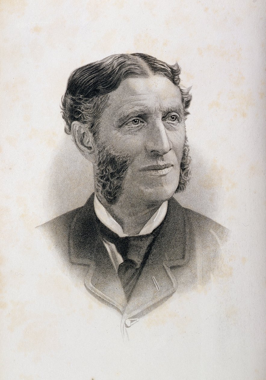 Ritratto di Matthew Arnold (1822-88) da English School