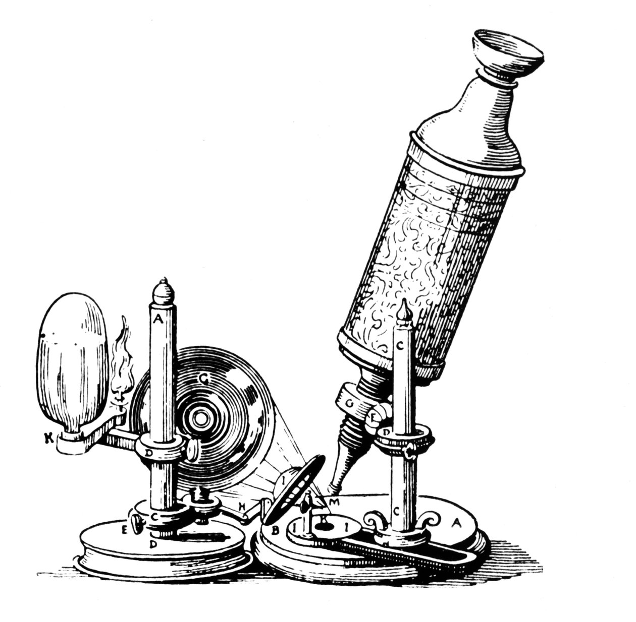 Microscopio di Robert Hooke da English School
