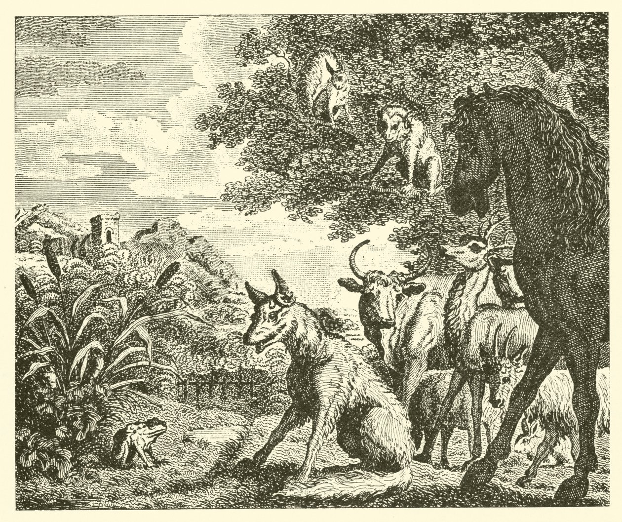 La rana e la volpe (incisione) da English School