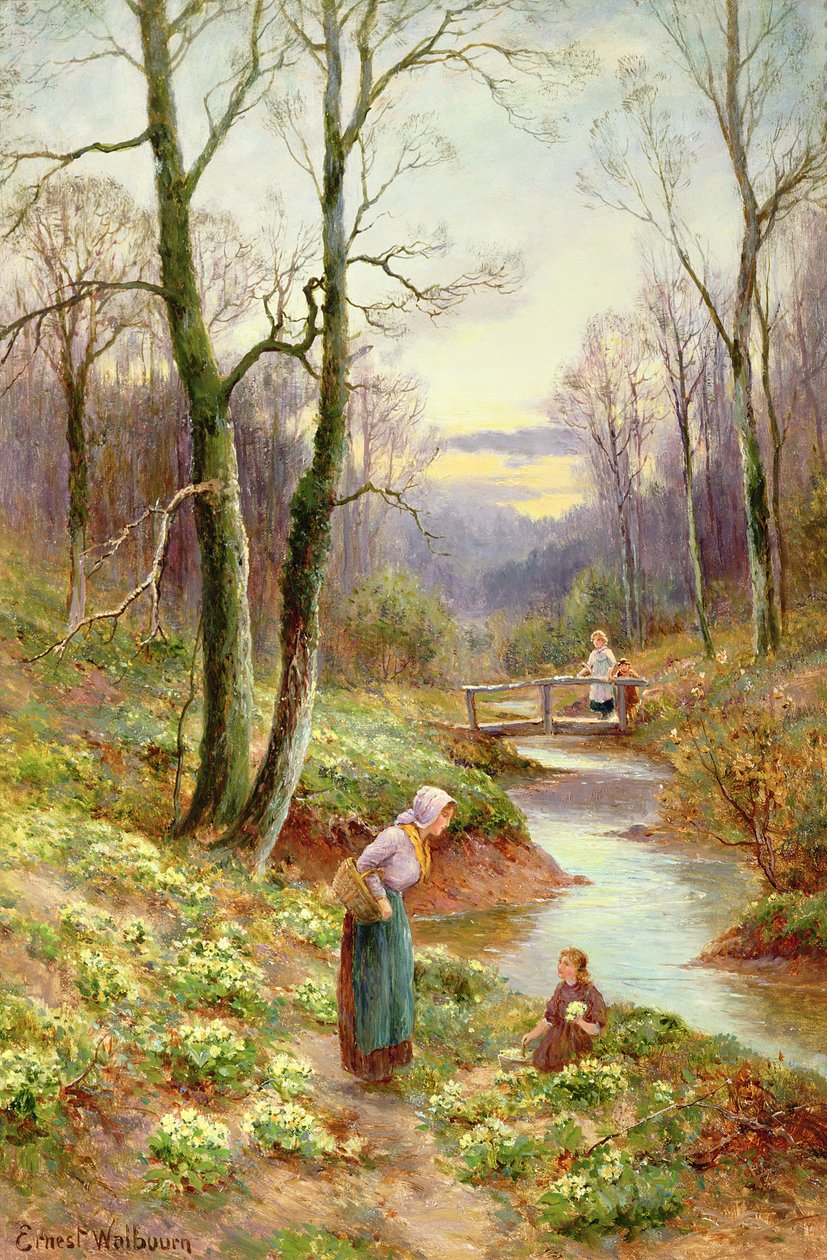 Raccolta di primule lungo il ruscello da Ernest Walbourn
