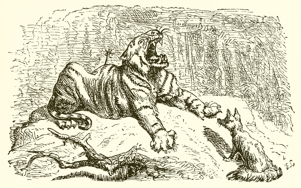 La volpe e la tigre da Ernest Henry Griset