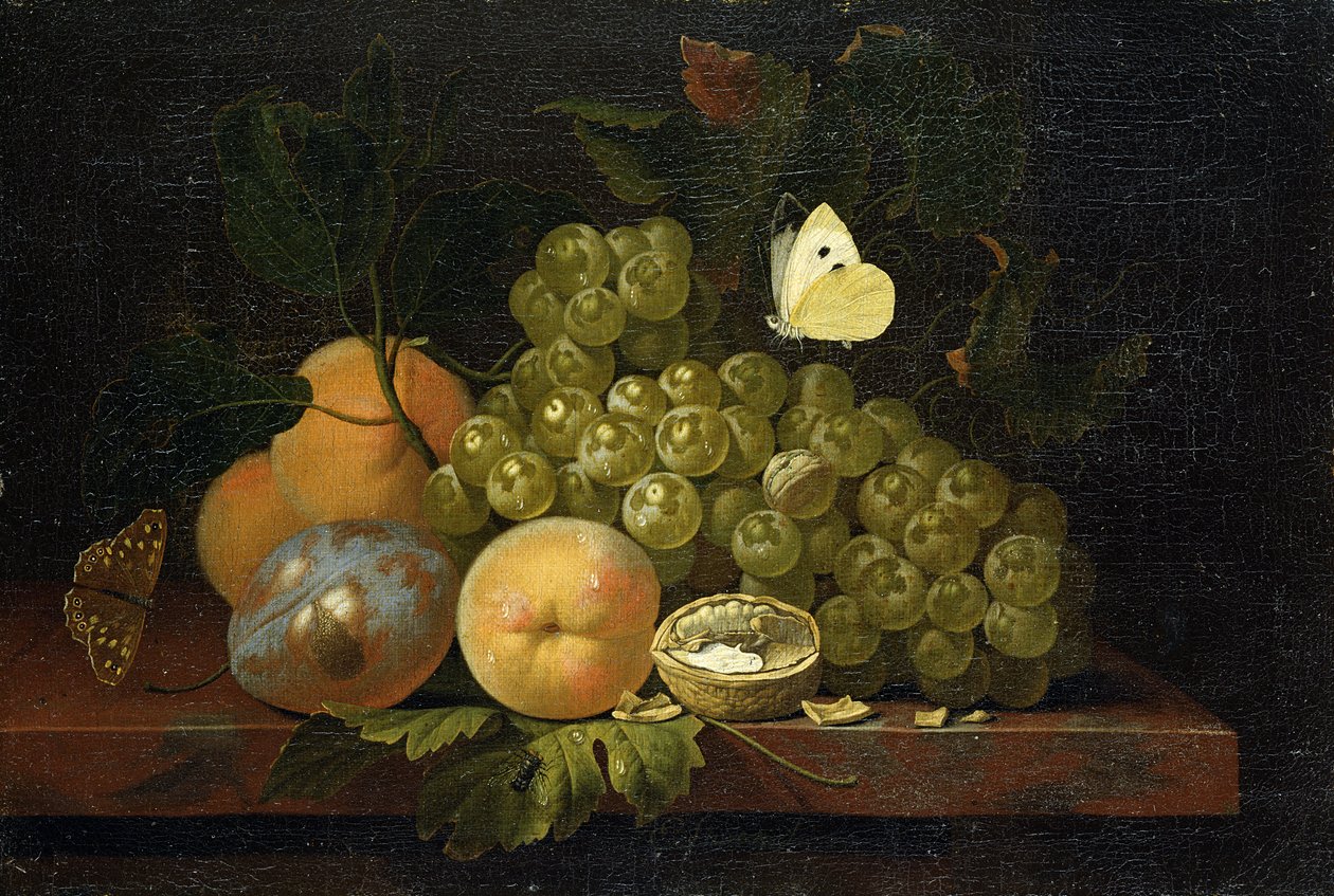 Studio di Frutta da Ernst Stuven